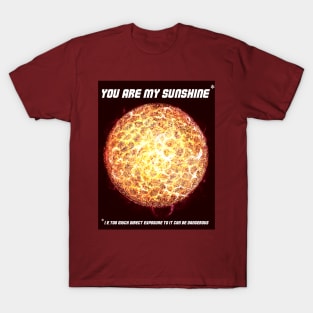 You are my Sunshine joke T-Shirt